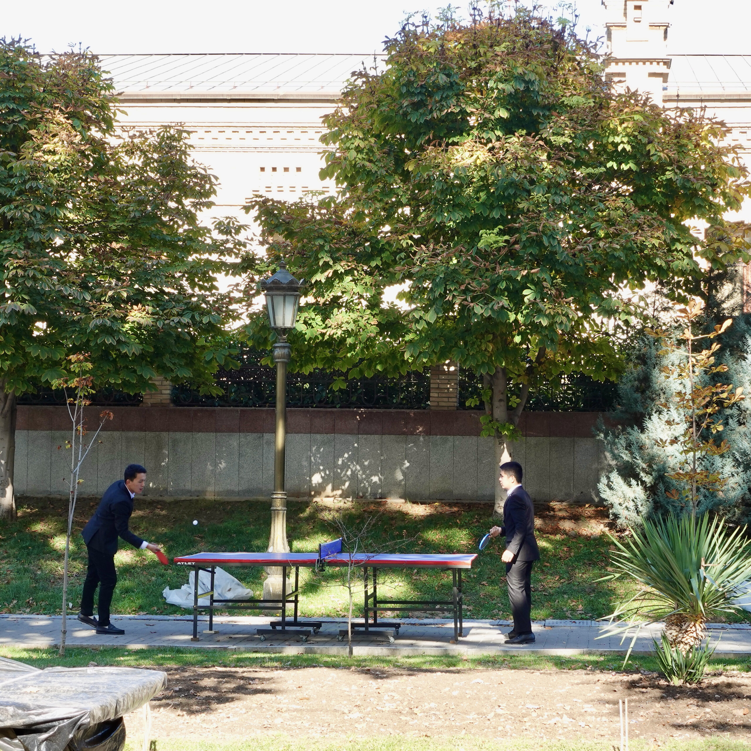 Playing ping-pong is surprisingly popular in Tashkent