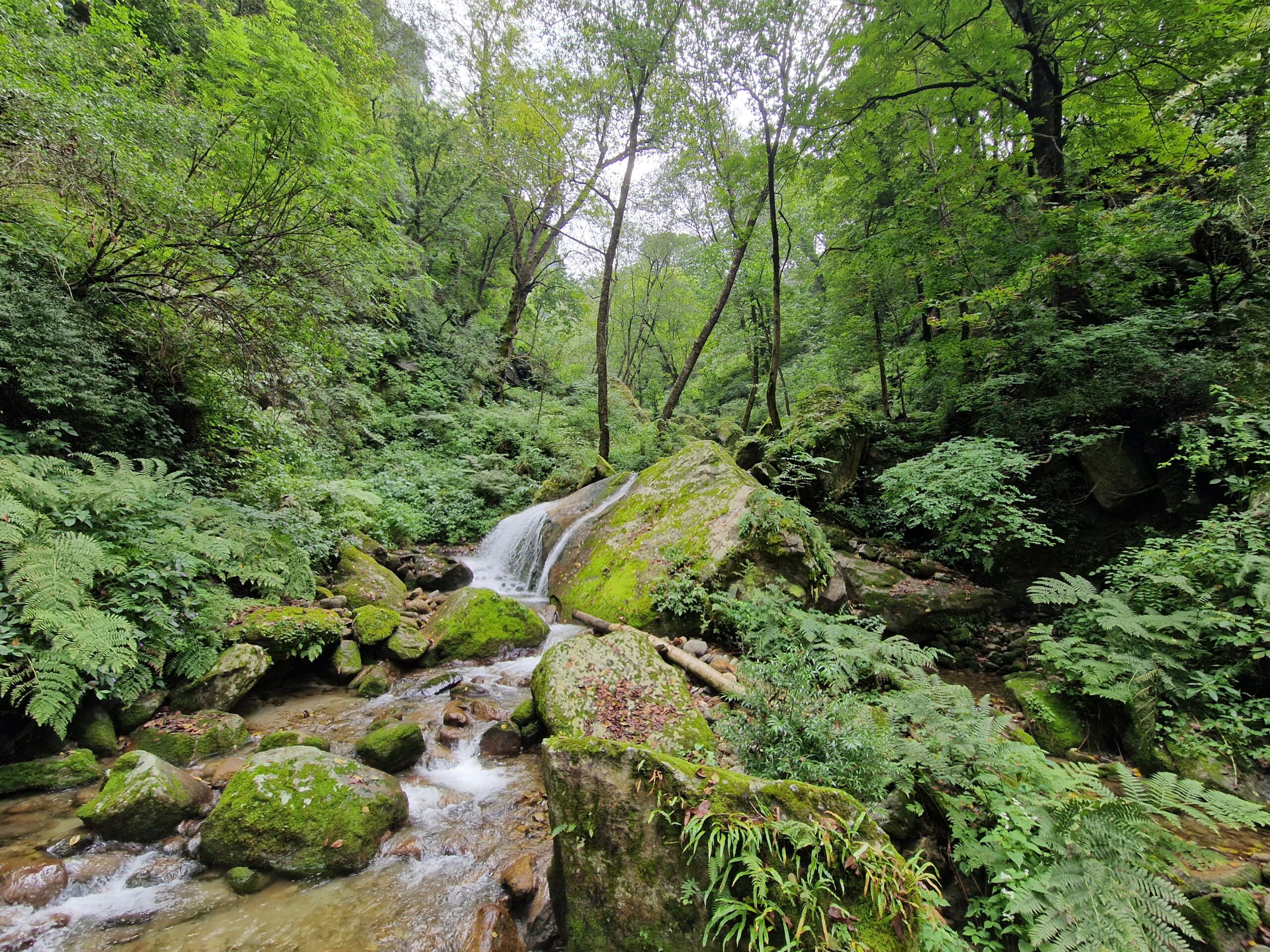 Untouched nature in India...